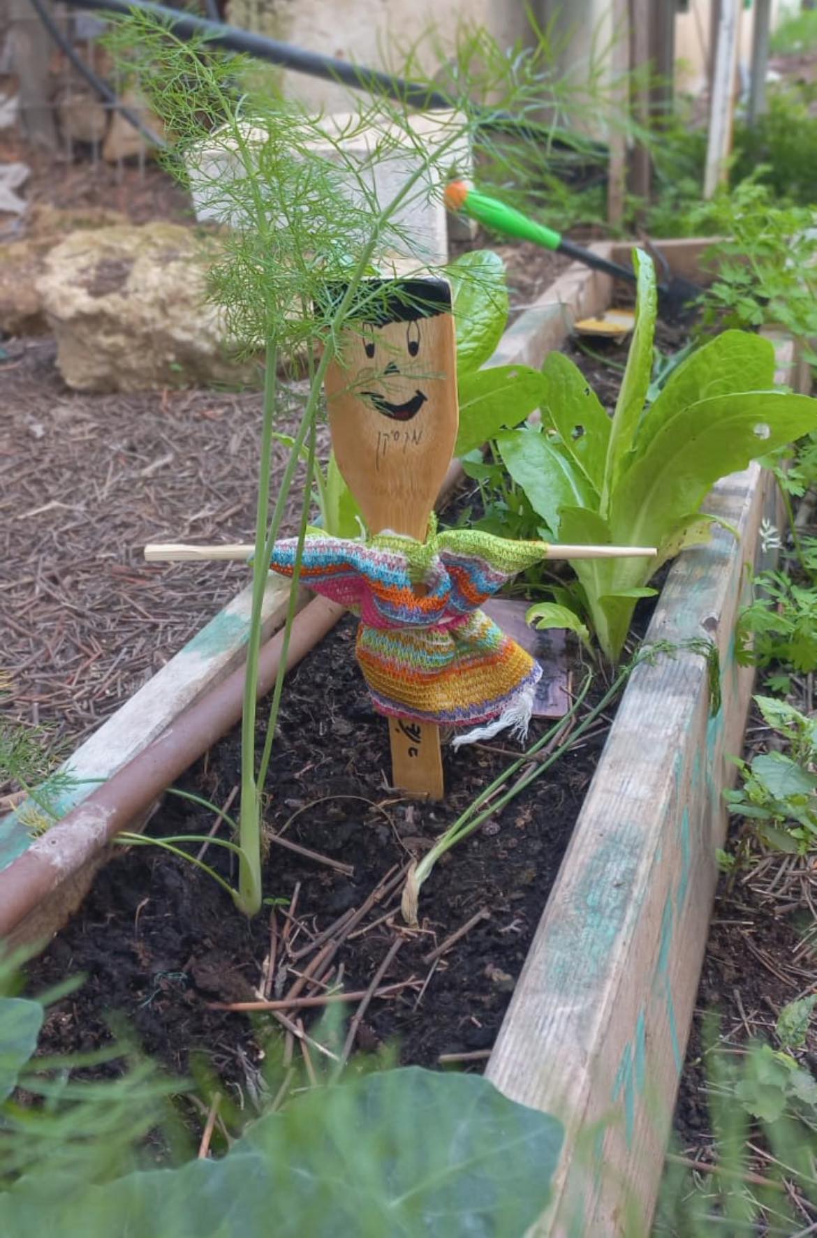 פרויקט אריאל